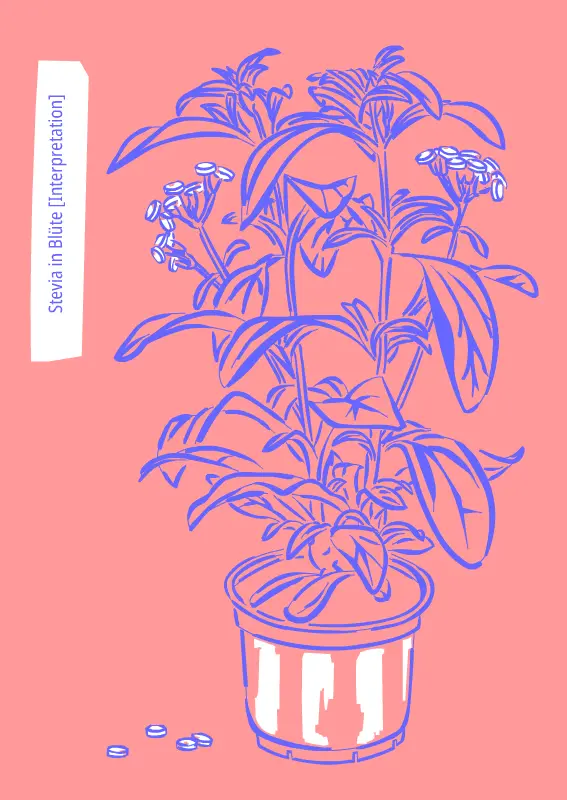 Stevia in bloom, Cartoon