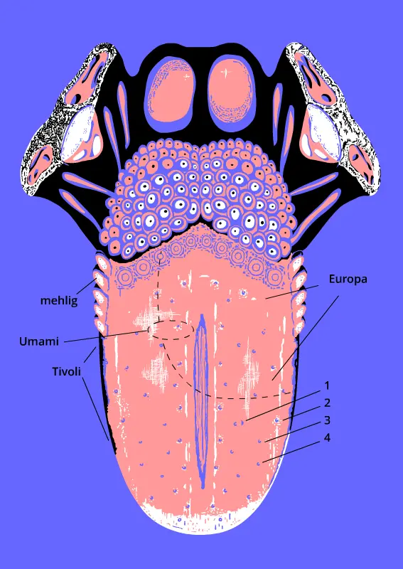 Tongue map, cartoon